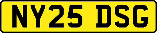NY25DSG