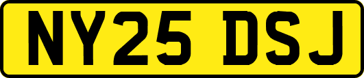 NY25DSJ