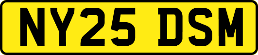 NY25DSM