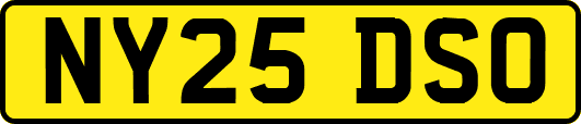 NY25DSO