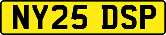 NY25DSP