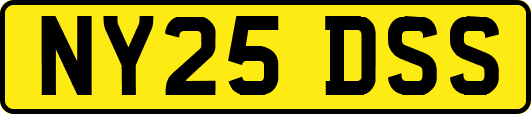 NY25DSS