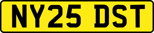 NY25DST