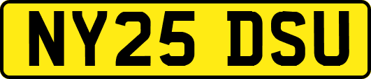 NY25DSU