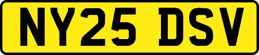 NY25DSV