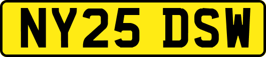 NY25DSW