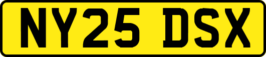 NY25DSX