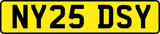 NY25DSY