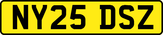 NY25DSZ