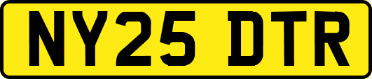 NY25DTR