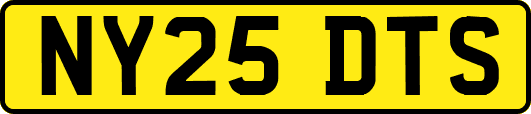 NY25DTS