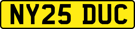 NY25DUC