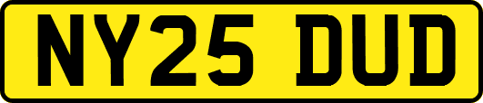 NY25DUD