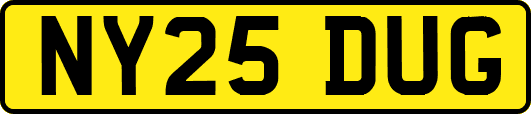 NY25DUG