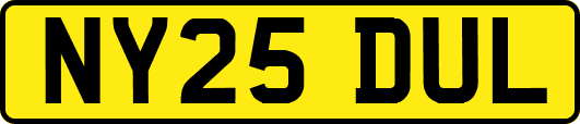 NY25DUL