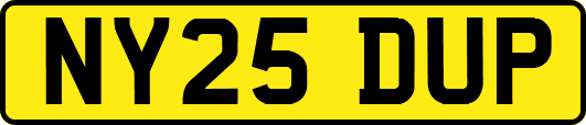 NY25DUP