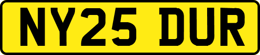 NY25DUR