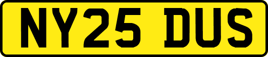 NY25DUS