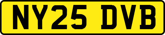 NY25DVB