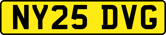 NY25DVG