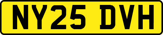 NY25DVH