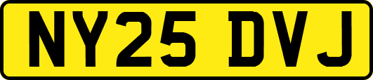 NY25DVJ