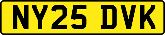 NY25DVK