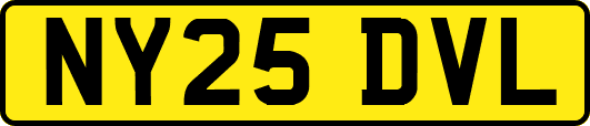NY25DVL