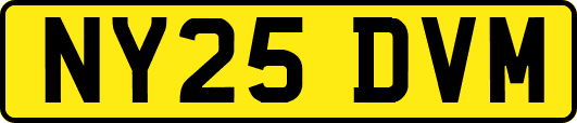NY25DVM