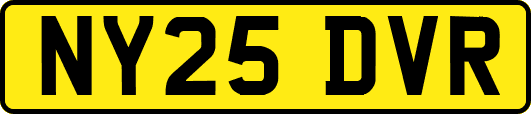 NY25DVR