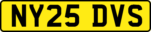 NY25DVS