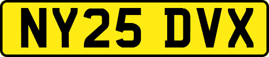 NY25DVX