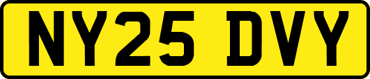NY25DVY