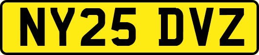 NY25DVZ
