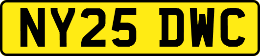 NY25DWC
