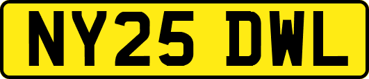 NY25DWL