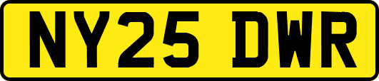 NY25DWR