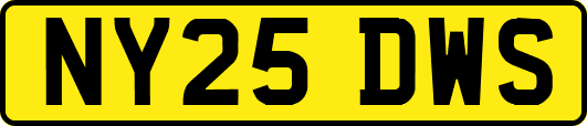 NY25DWS