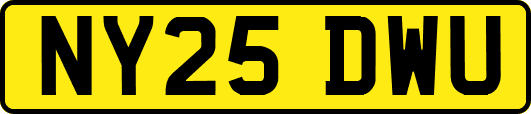 NY25DWU