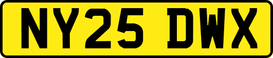 NY25DWX