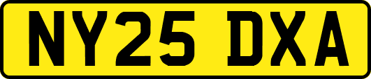 NY25DXA
