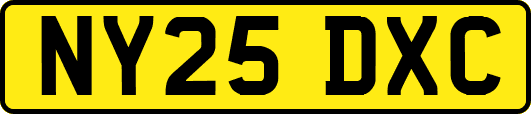NY25DXC