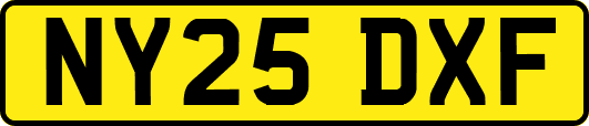 NY25DXF