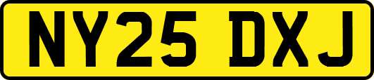 NY25DXJ