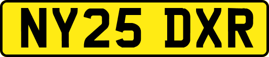 NY25DXR