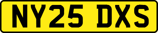 NY25DXS