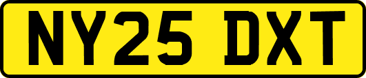 NY25DXT