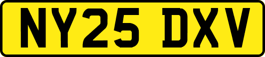 NY25DXV