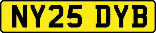 NY25DYB