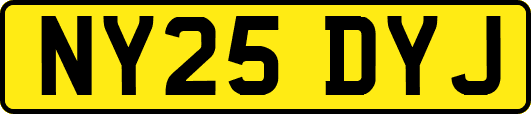 NY25DYJ